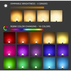 Luce decorativa led Multicolor da Pavimento